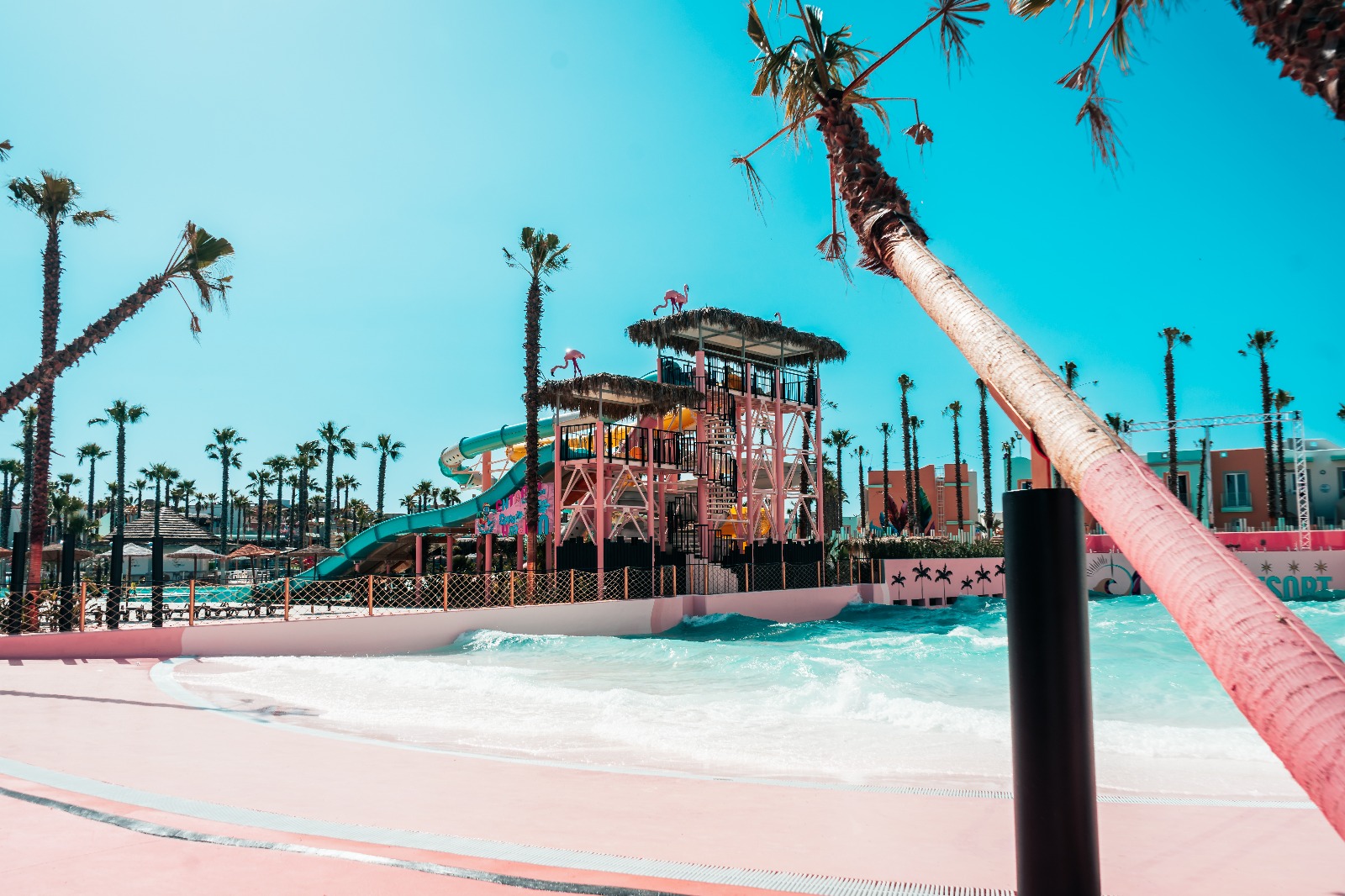 WhatsApp Image 2025-05-05 at 18.20.07