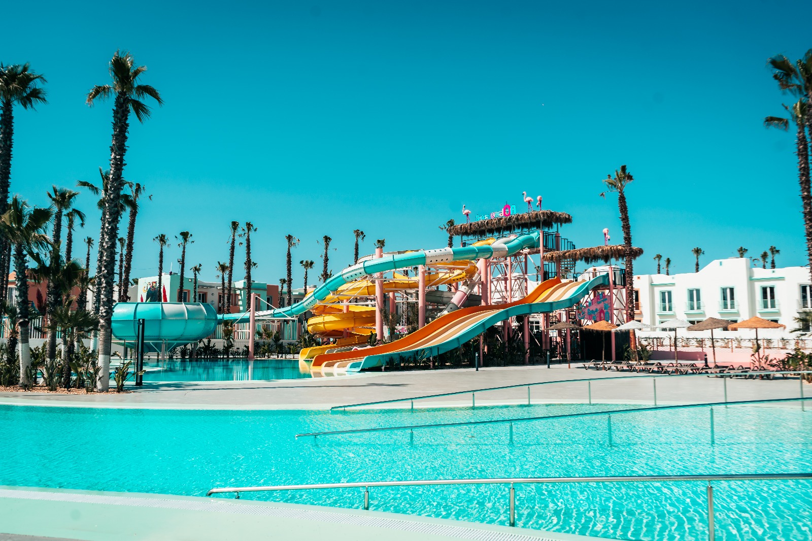 WhatsApp Image 2025-05-05 at 18.20.39