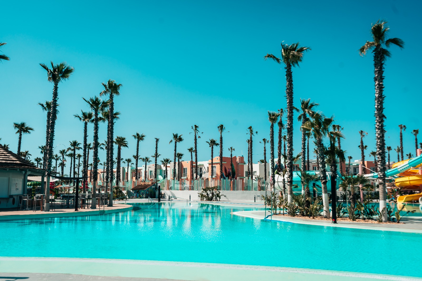 WhatsApp Image 2025-05-05 at 18.21.54