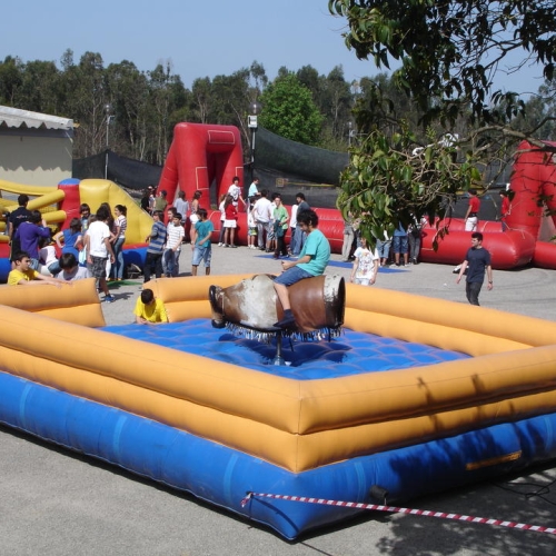 touro-mecanico-1-1515606635